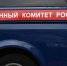 Глава СК заинтересовался ситуацией с аварийным мостом через реку Битюг Воронежской области - РИА Воронеж - Павловск